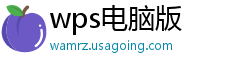 wps电脑版